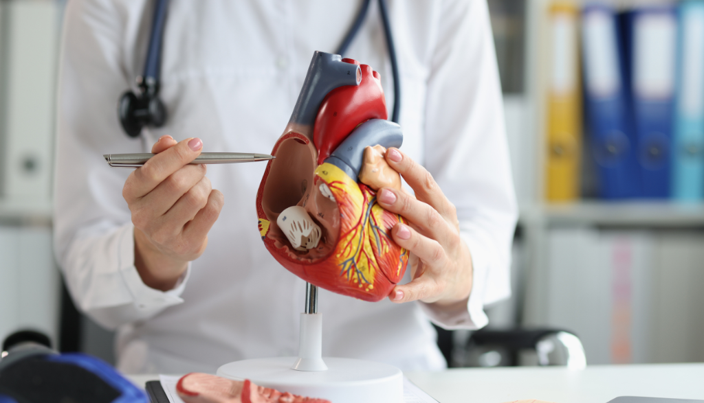 Tirzepatide and Your Heart What Cardiologists Are Saying